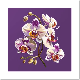 Elegant orchid design Posters and Art